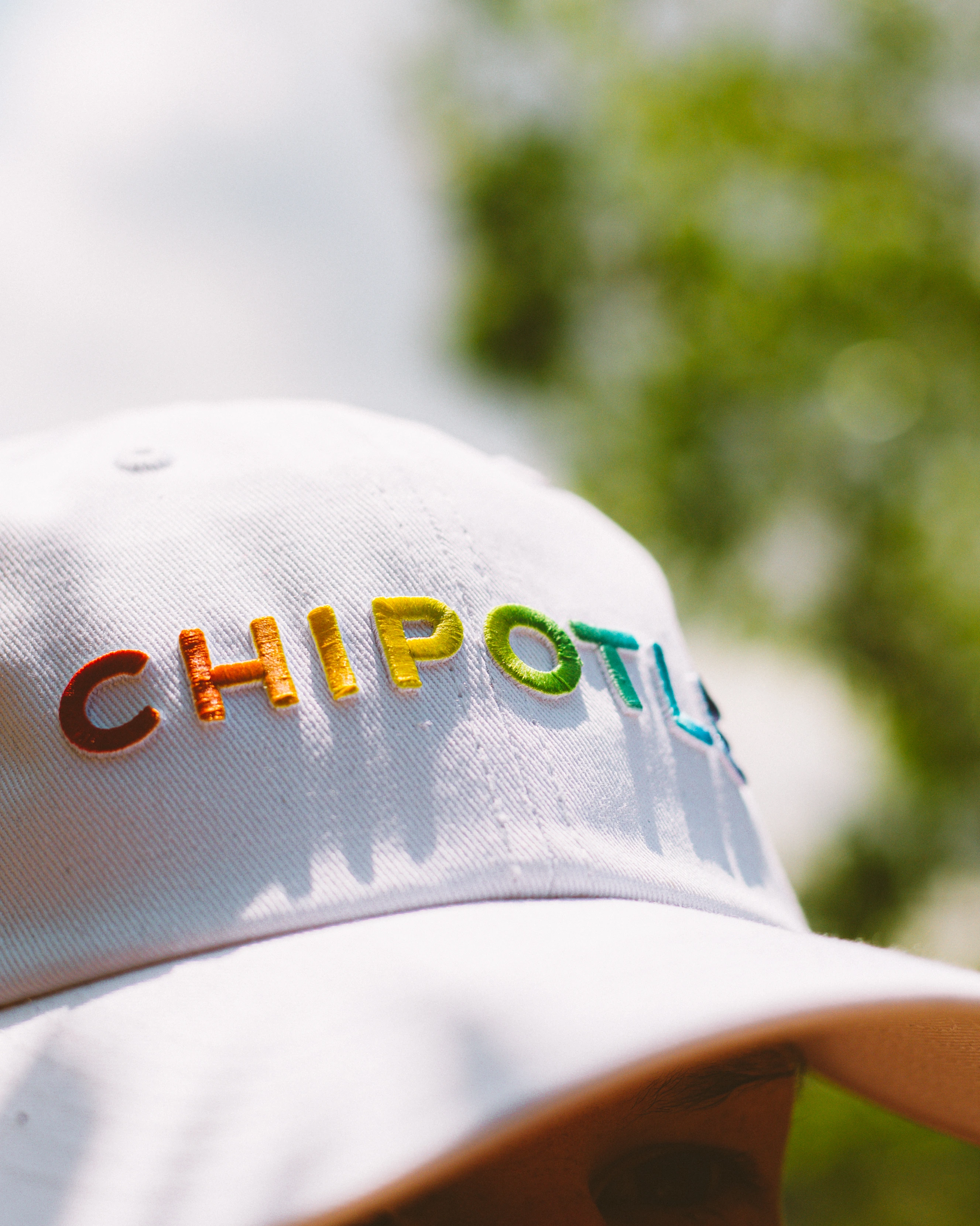 Preventive Care & Chipotle?  Your Anthem Plus Plan Explained - ltrnzqx
